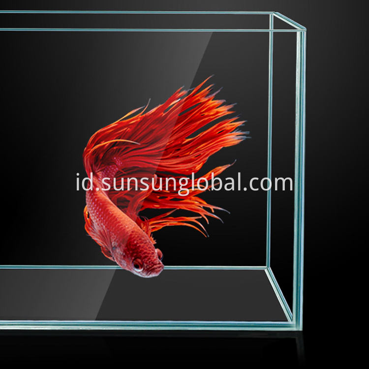 Tangki ikan kebun air yang berkualitas baik